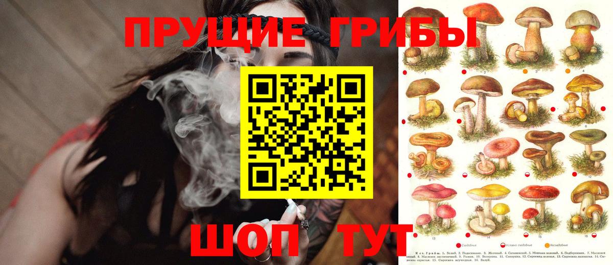 Псилоцибиновые грибы GOLDEN TEACHER  Галлюциногенные грибы Magic Shrooms  Борзя  Вход с VPN 